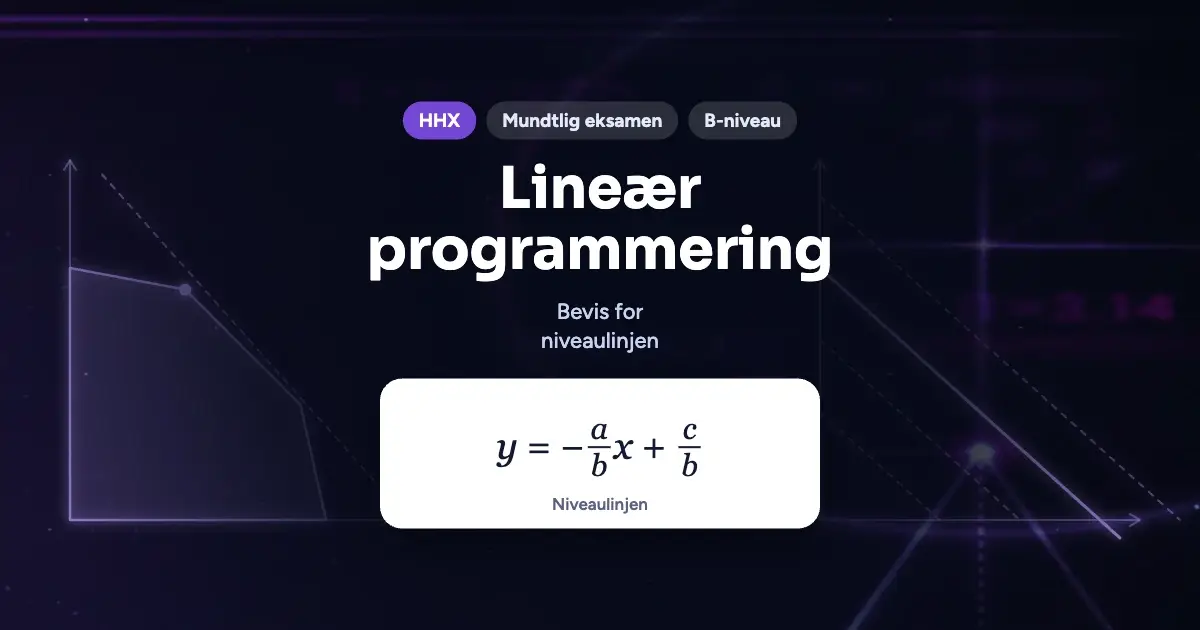 Kursusbillede: Lineær programmering – HHX, Mundtlig eksamen, B-niveau