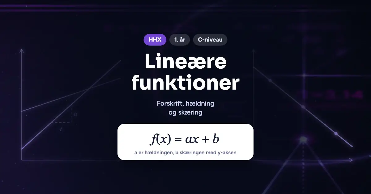 Kursusbillede: Lineære funktioner – HHX, 1. år, C-niveau