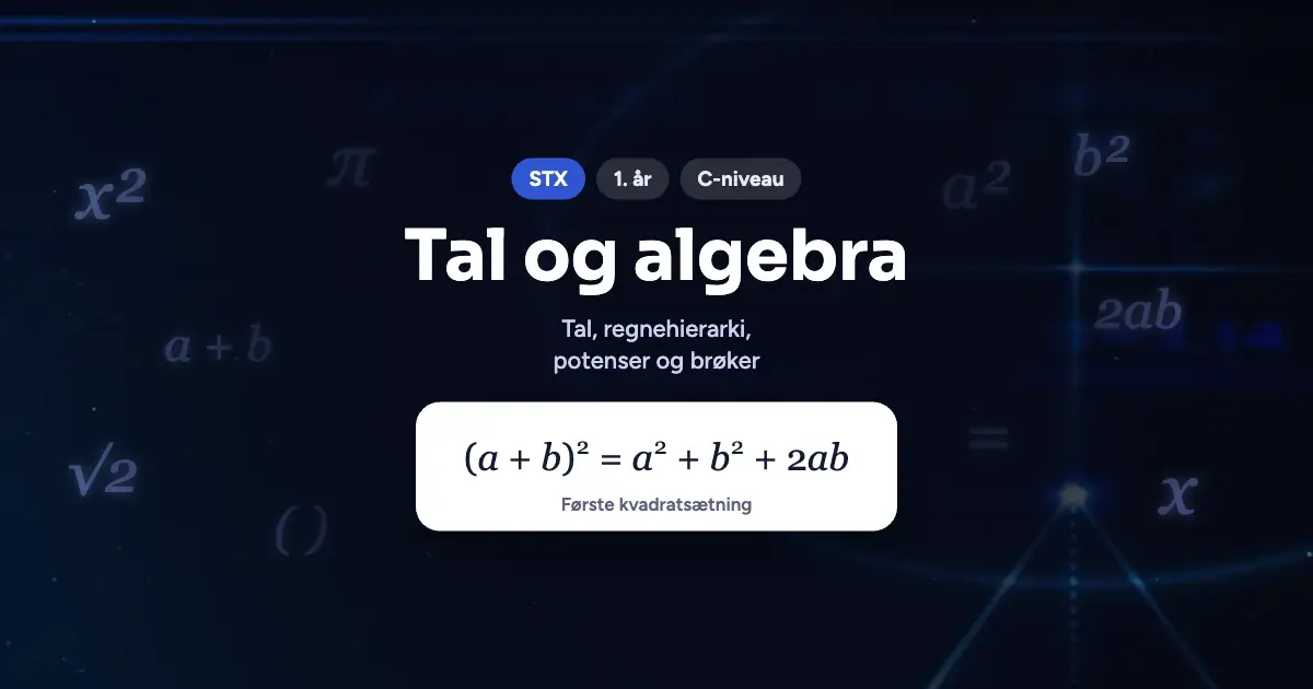Kursusbillede: Tal og algebra – STX, 1. år, C-niveau