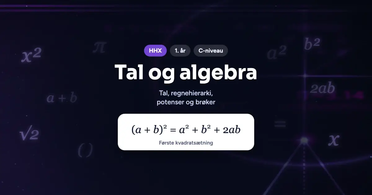 Kursusbillede: Tal og algebra – HHX, 1. år, C-niveau